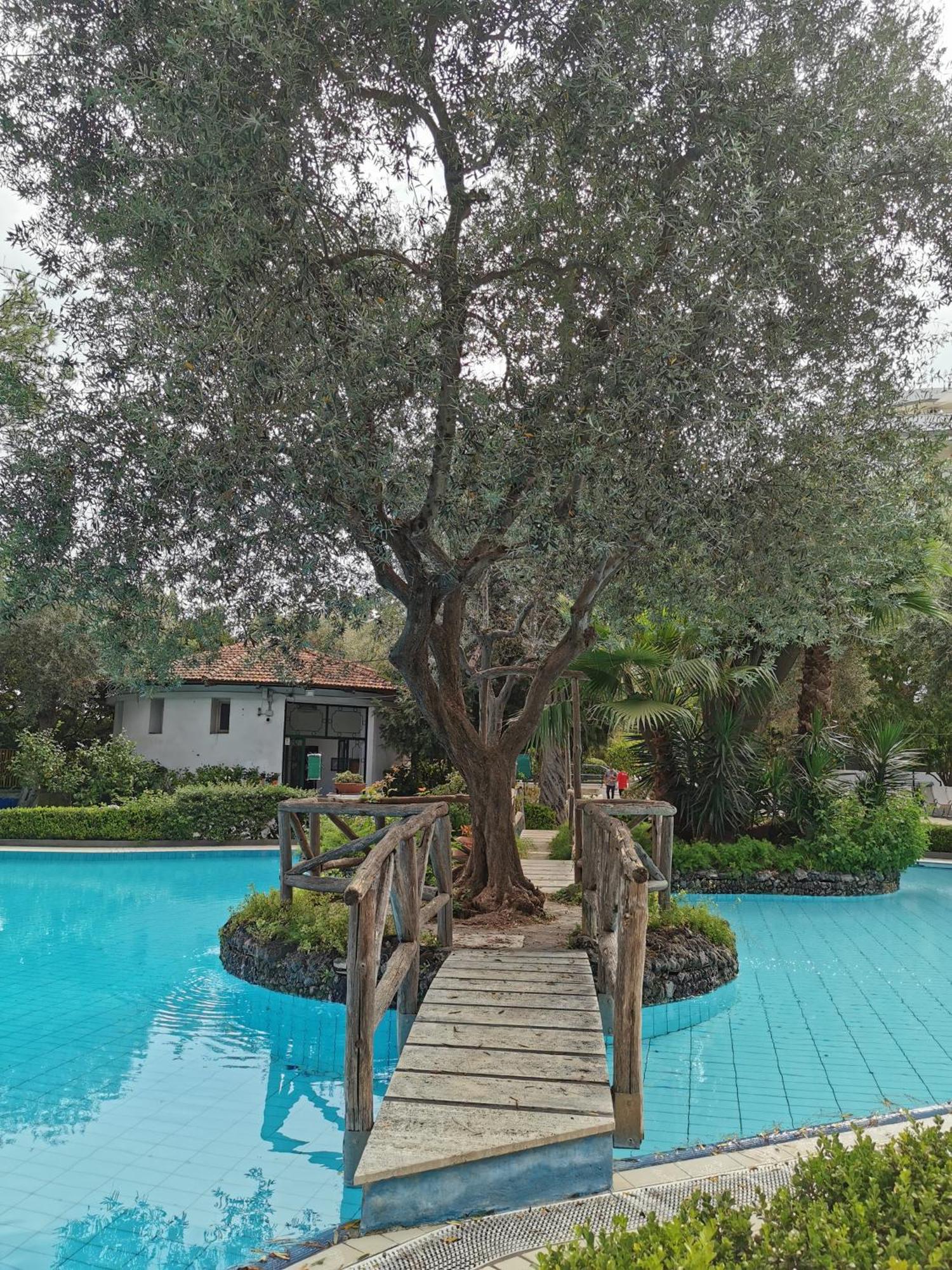Casa Mar - Elegant Apartment With Pool And Panoramic Terrace In The Heart Of Sorrento Esterno foto